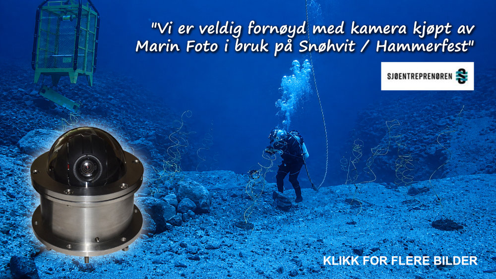 sj�entrepren�ren
