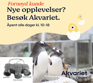 Kunde Akvariet
