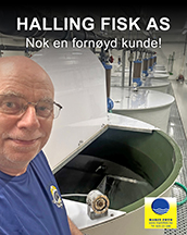 halling fisk as